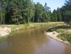 Mała Panew